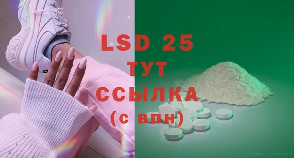 гашик Алексин