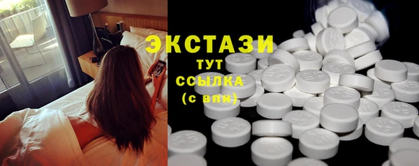 гашик Алексин
