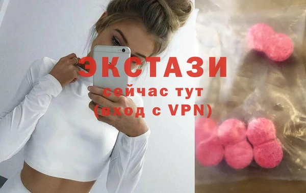 гашик Алексин
