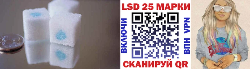блэк спрут вход  Новороссийск  LSD-25 экстази кислота 