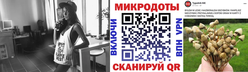 Галлюциногенные грибы MAGIC MUSHROOMS Новороссийск